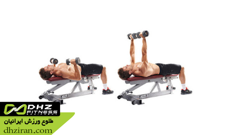 پرس سینه دمبل روی نیمکت صاف 